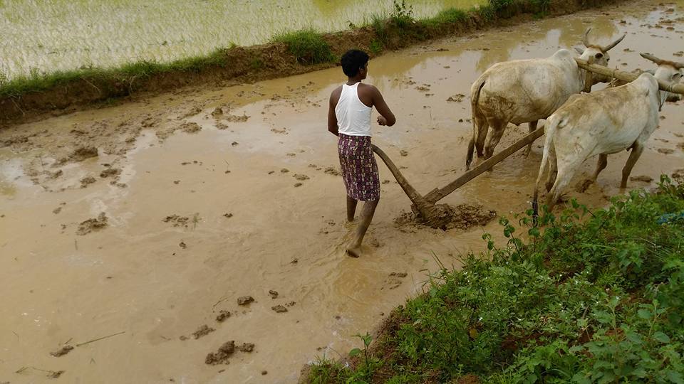 योगी ने दिया बड़ा झटका